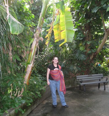 l-and-k-in-rainforest