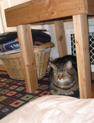 looking-back-at-kivrin