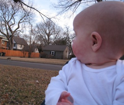 where-is-that-dog-going