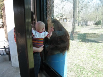 kivrin-and-orangutan