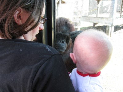 orangutan-and-kivrin