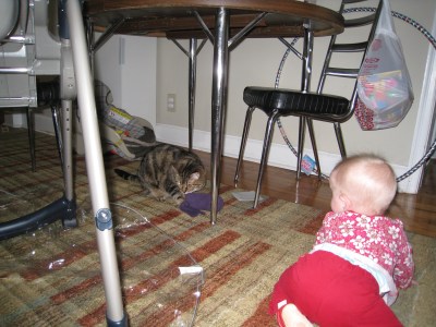 do-you-like-the-toy-i-made-you