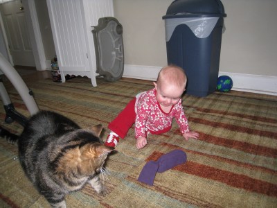 i-will-race-you-to-the-toy-and-im-fast