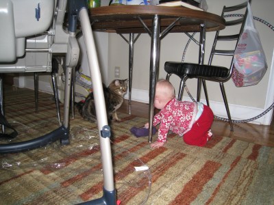 maybe-i-should-look-at-it-again