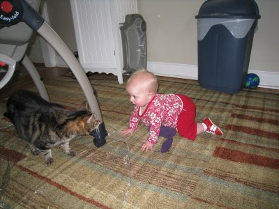 you-cant-have-this-toy-it-is-mine