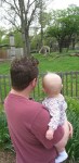 daddy-kivrin-and-a-giraffe