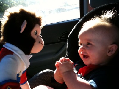 love the monkey
