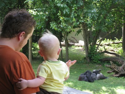 waving to the gorilla