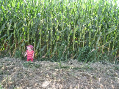 how kivrin measures up to the corn