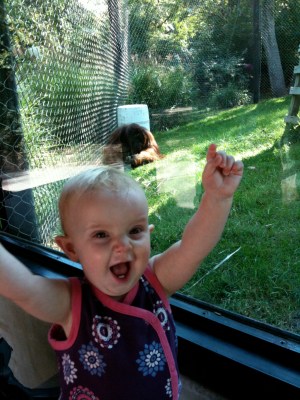 i love that orangutan