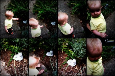 kivrin loves the concrete cat