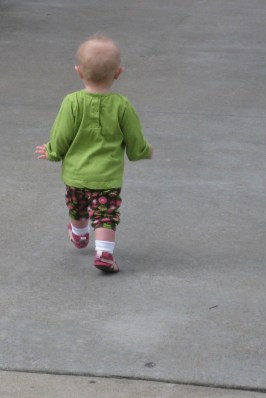 kivrin walking at the zoo