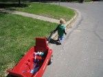 pulling the wagon&nbsp;home2