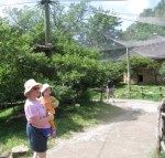 grandma and kivrin watching an&nbsp;animal2